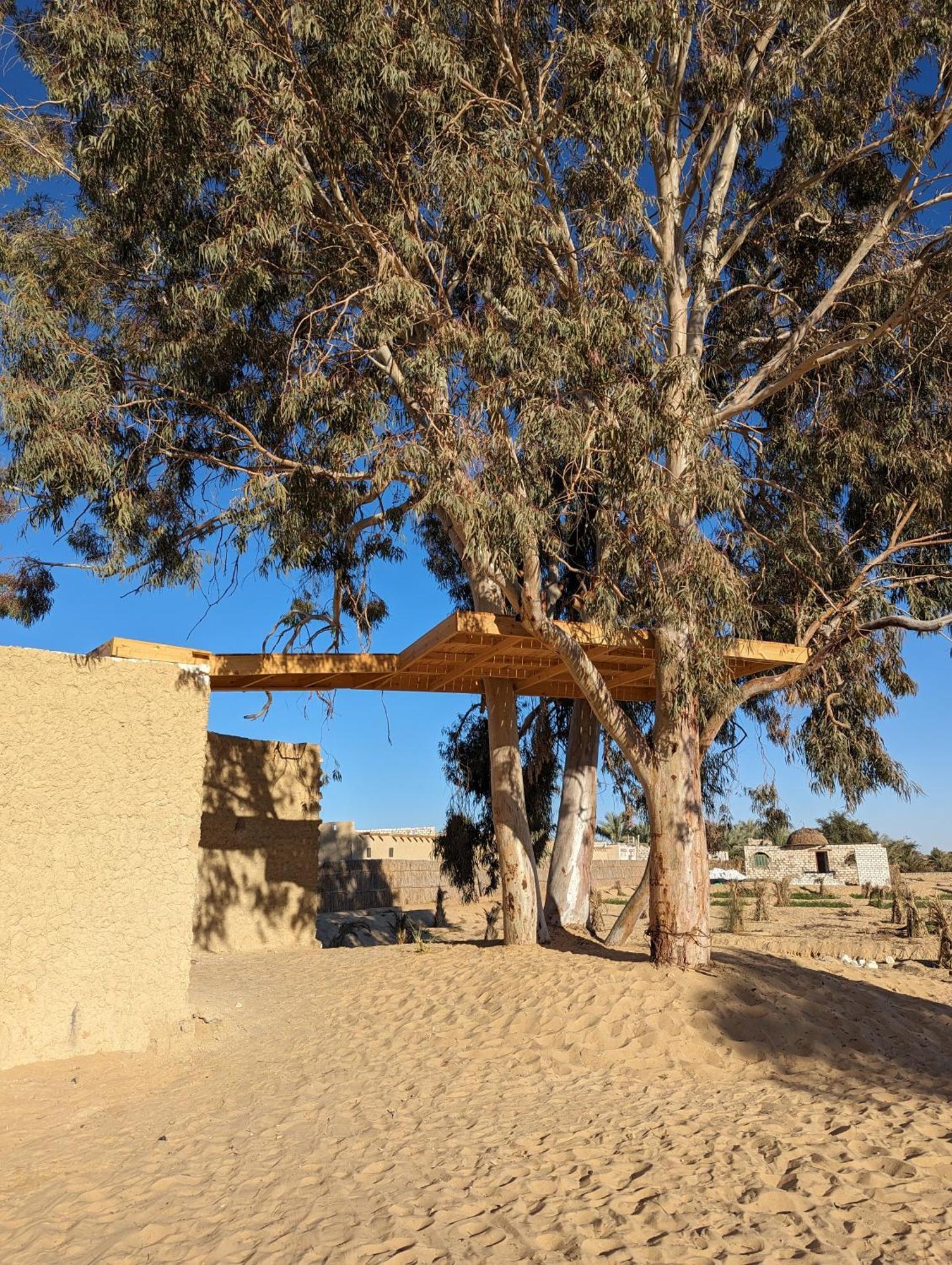 Отель Cafour House Siwa - Hot Spring Siwa Oasis Экстерьер фото