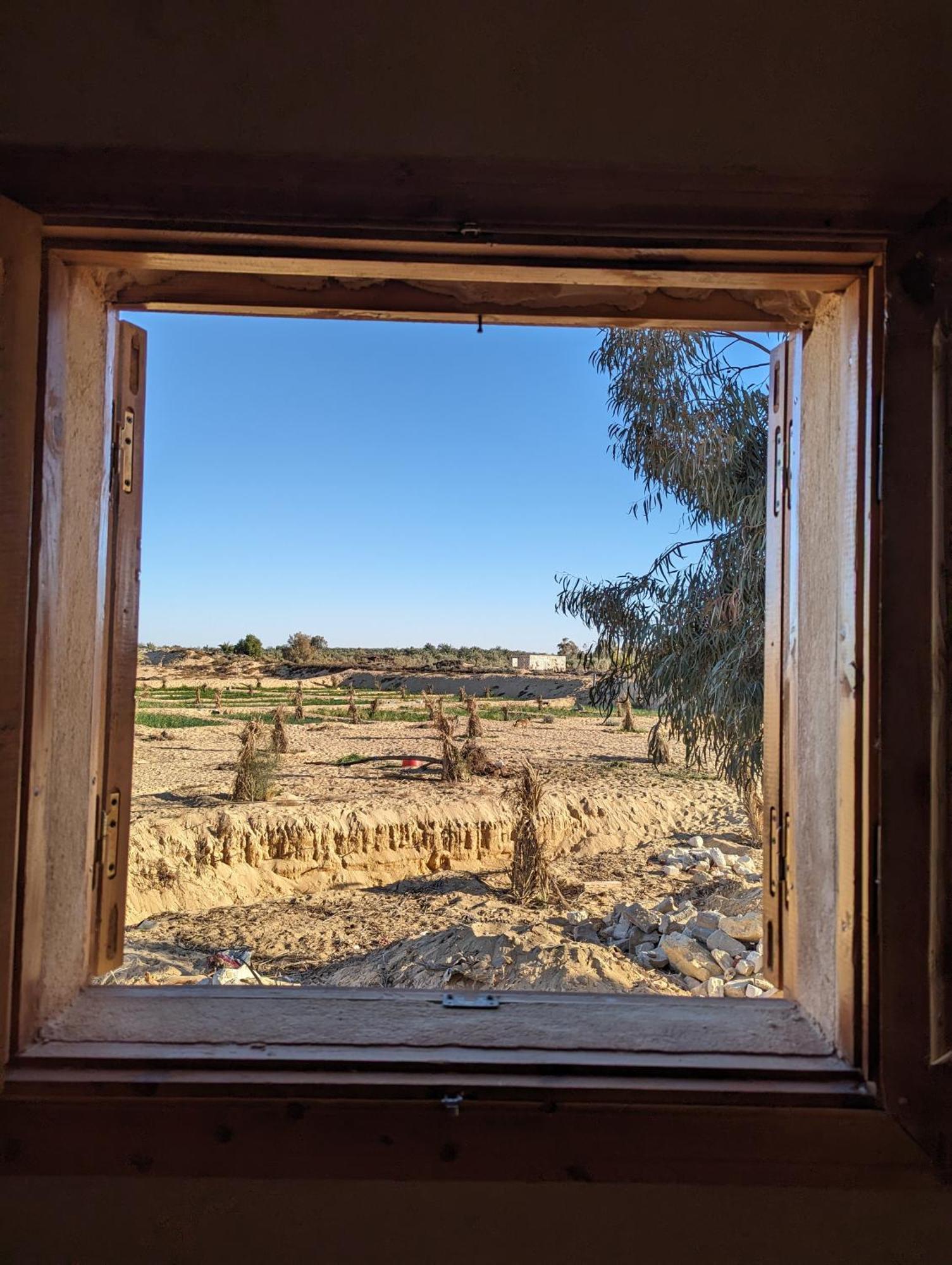Отель Cafour House Siwa - Hot Spring Siwa Oasis Экстерьер фото