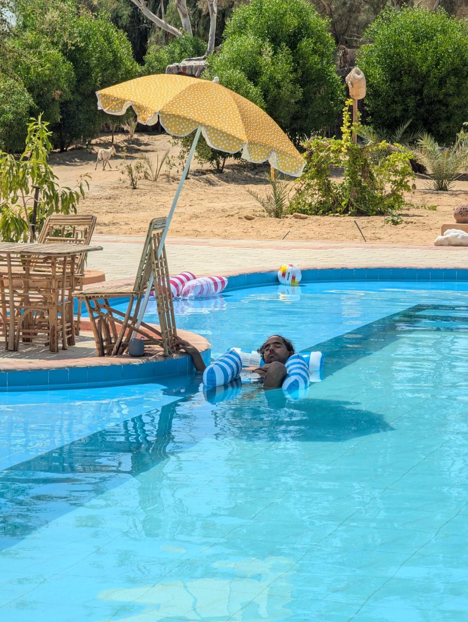 Отель Cafour House Siwa - Hot Spring Siwa Oasis Экстерьер фото