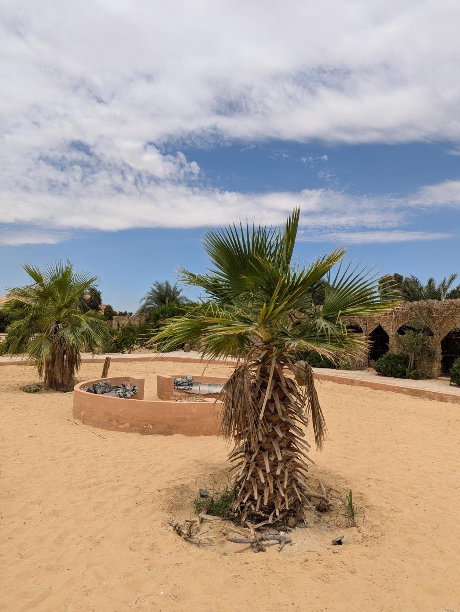 Отель Cafour House Siwa - Hot Spring Siwa Oasis Экстерьер фото